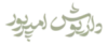 داریوش امیرپور وکیل شیراز